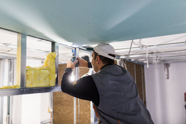 Best Residential Insulation in Mount Oliver, PA